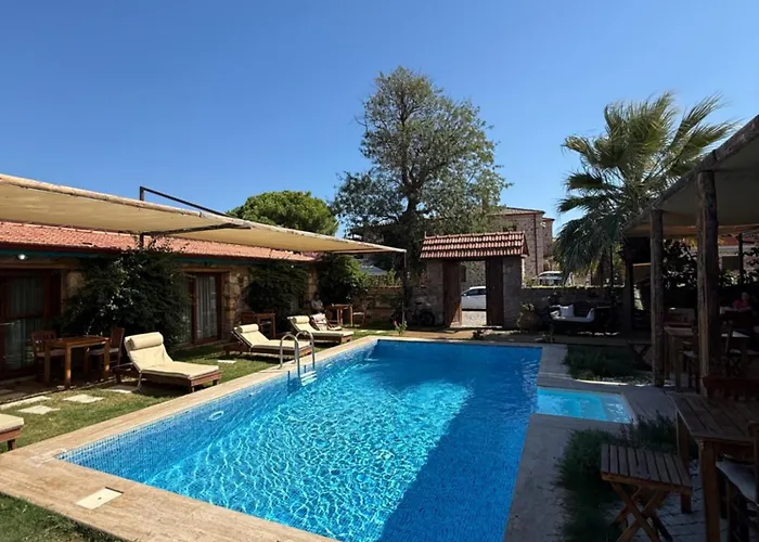 Pet Friendly Pool Suites