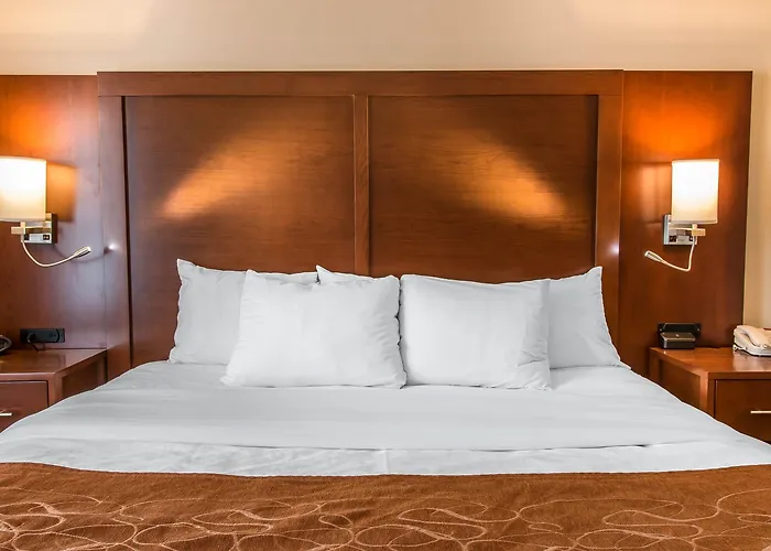 Comfort Suites Wixom - Novi