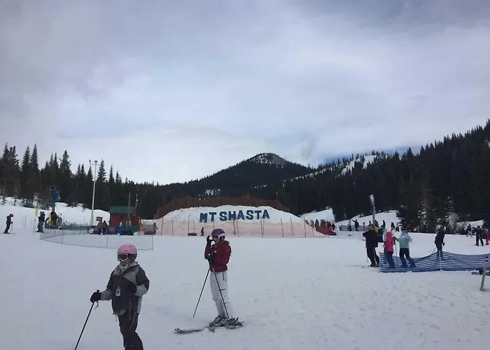 Shasta Inn