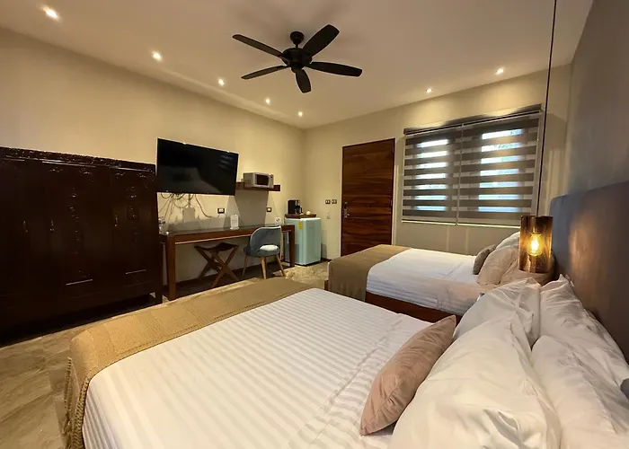 Hotel Arista 1026