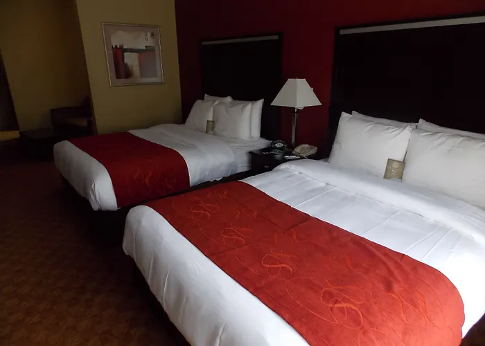 Comfort Suites Old Town Spring