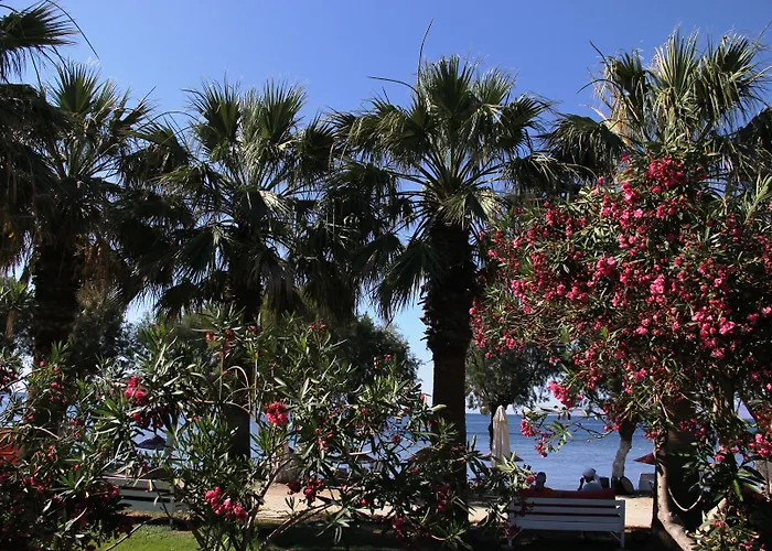 Yilmaz Hotel