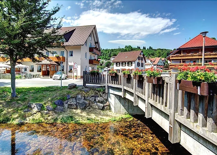 Hotels in Lenzkirch