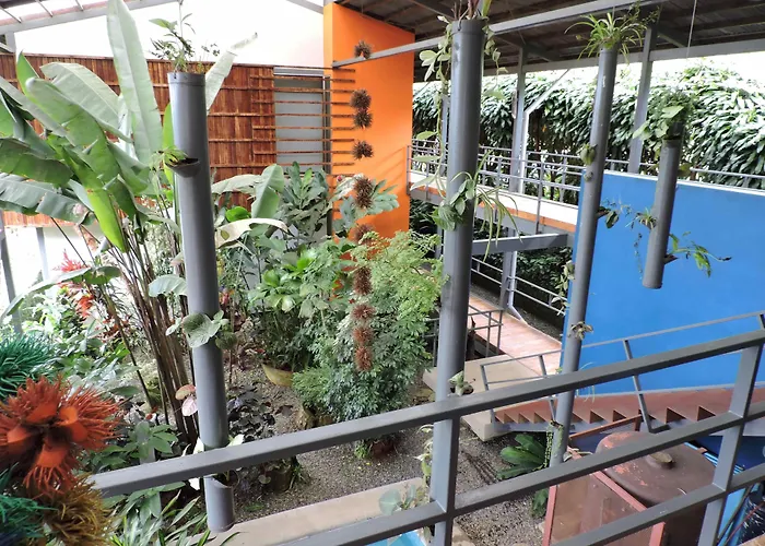 Celeste Mountain Lodge