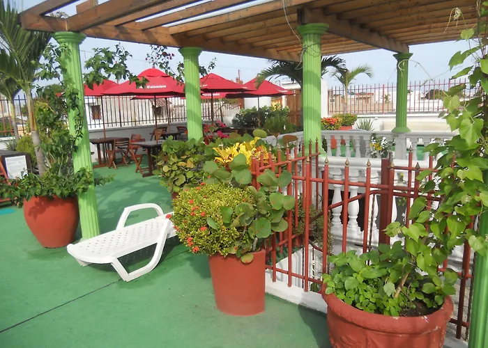 Patio De Getsemani
