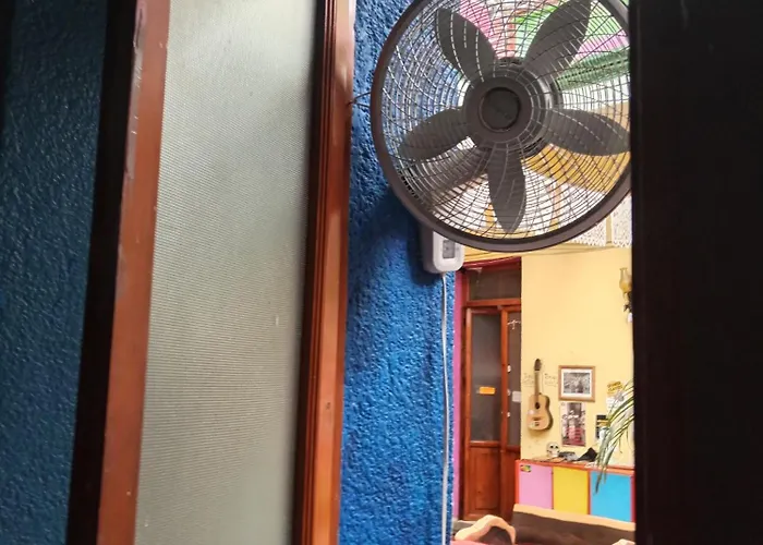 Iguana Hostel Oaxaca