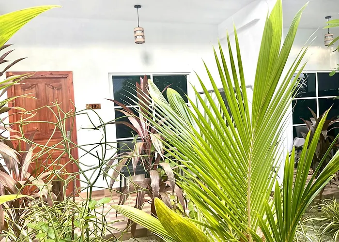 Hotels in Thoddoo-Atoll