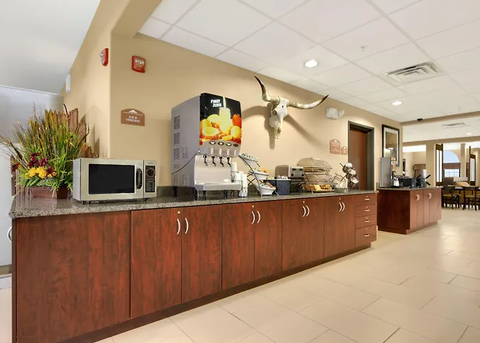 Microtel Inn & Suites By Wyndham Buda Austin South