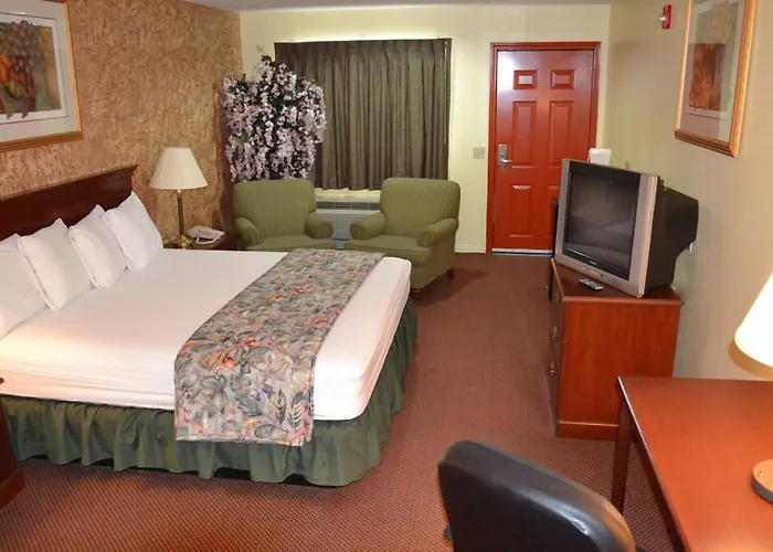 Executive Inn & Suites Magnolia