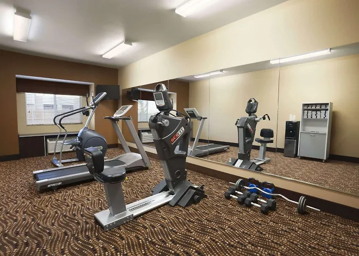Microtel Inn & Suites By Wyndham Odessa Tx