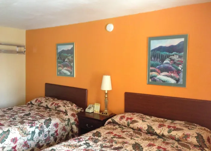 Cadet Motor Inn - Coldwater