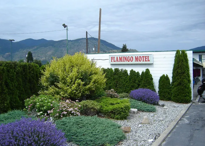 Flamingo Motel