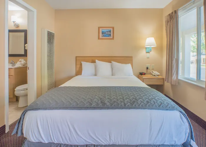 Shasta Pines Motel & Suites