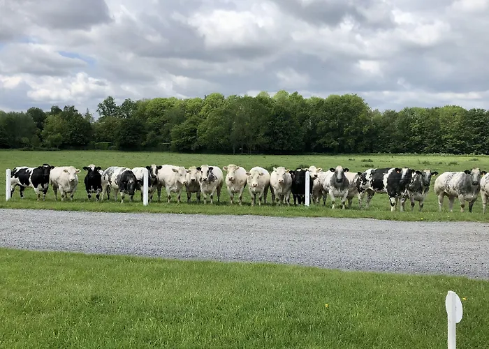Ferme Delgueule