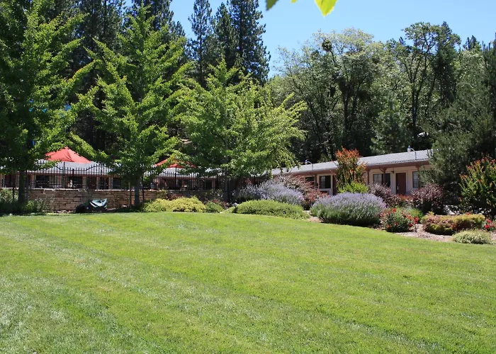 Mother Lode Motel
