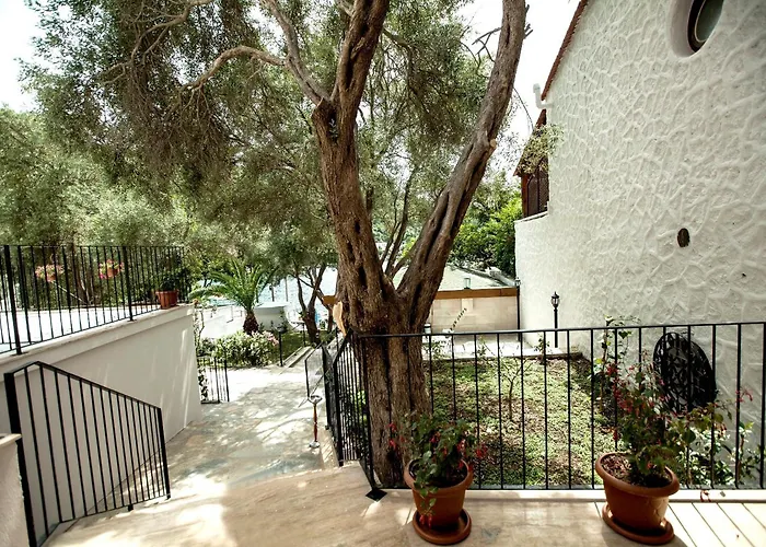 Zena Hotel Bodrum