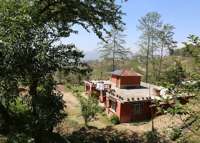 Mount Paradise Nature Stay
