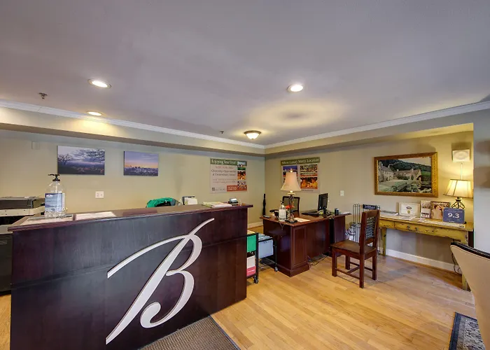 Asheville City Center Hotels