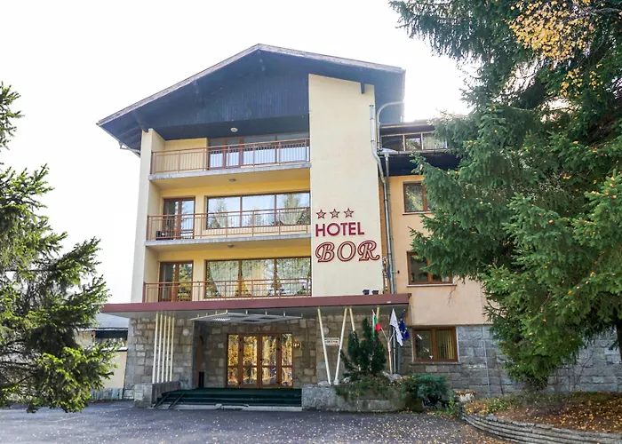 Hotel Bor