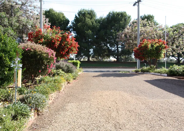 Camellia Motel