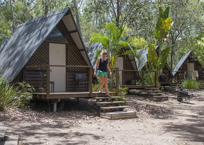 Bounce Magnetic Island And Koala Park
