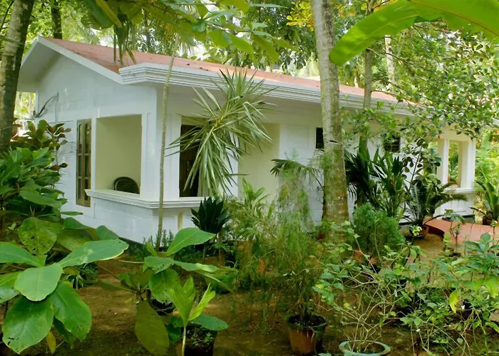Jickys Nest