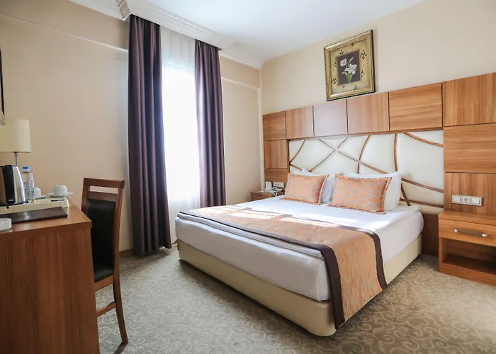 Rumi Hotel
