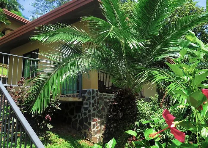 Seagull Cove Resort