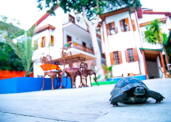 Kaliptus Hotel