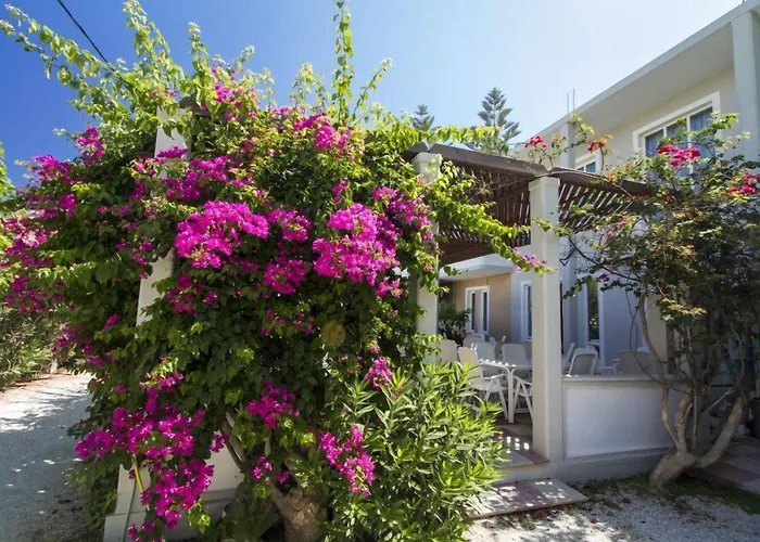 Hotel Peli