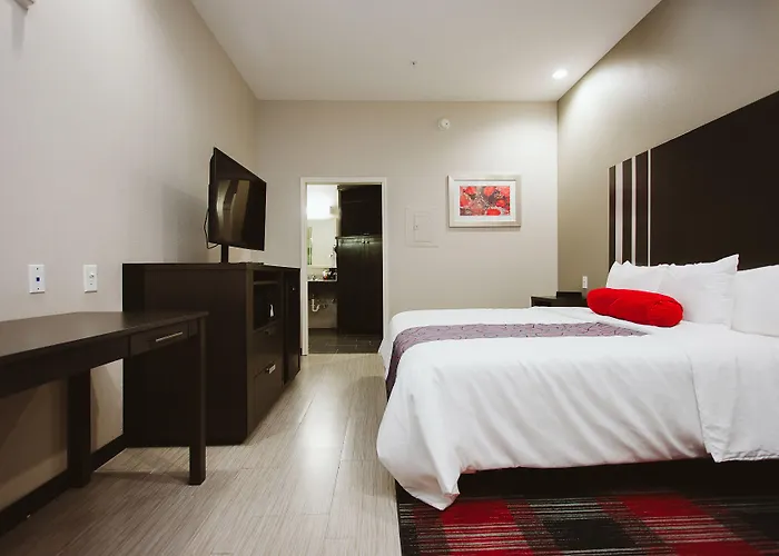 Americas Best Value Inn & Suites Iah Airport North