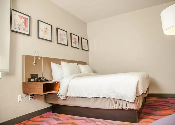 Hilton Garden Inn Tampa Suncoast Parkway