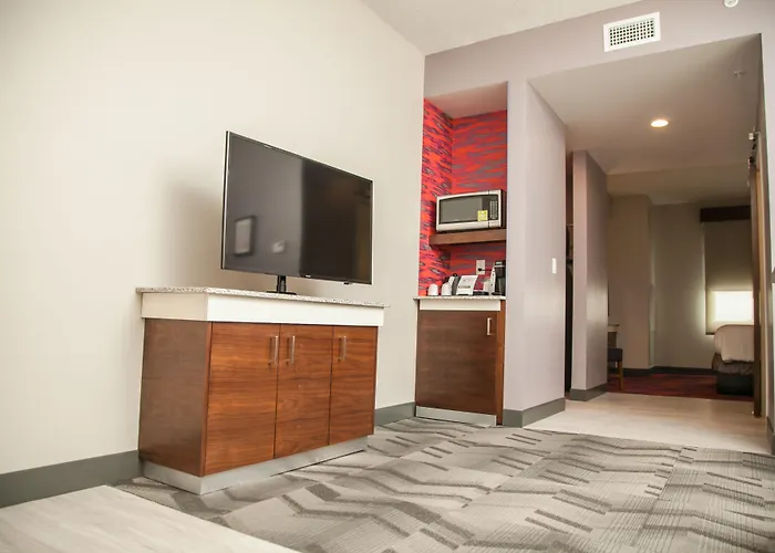 Hilton Garden Inn Tampa Suncoast Parkway