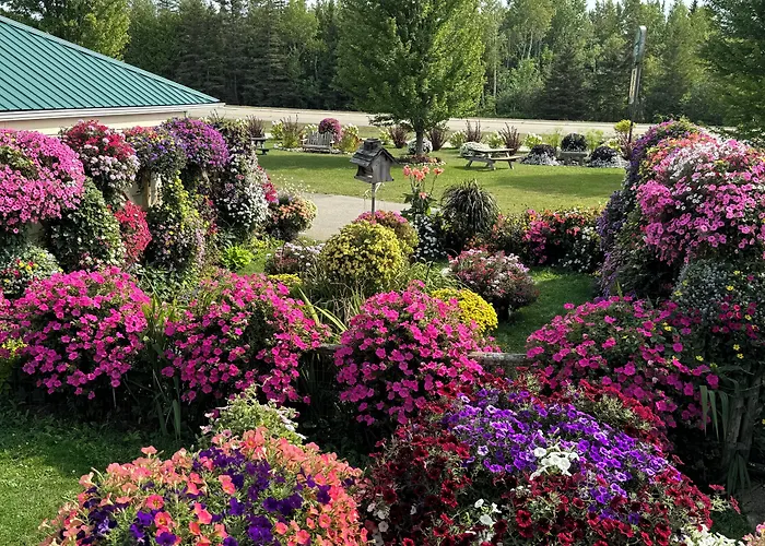 Boyne Falls Motels