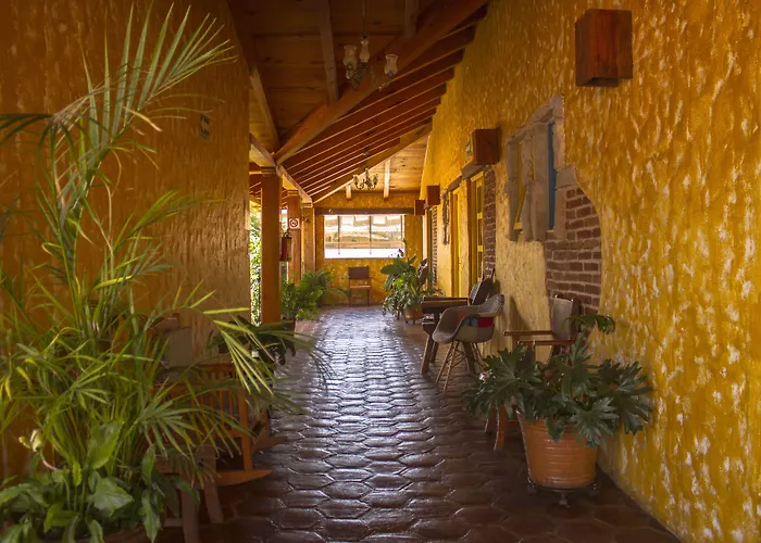 Hotel Posada Primavera