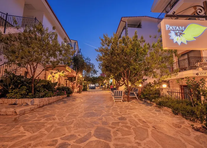 Payam Hotel