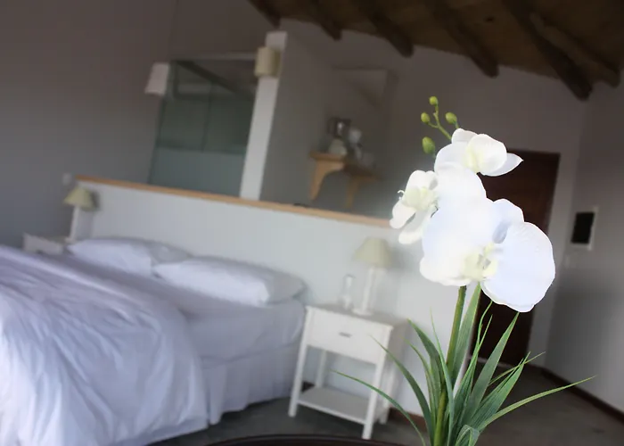Maradentro Apart Hotel & Suites
