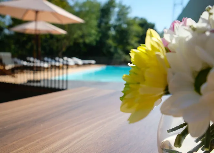 Quinta Do Pedregal Hotel & Spa