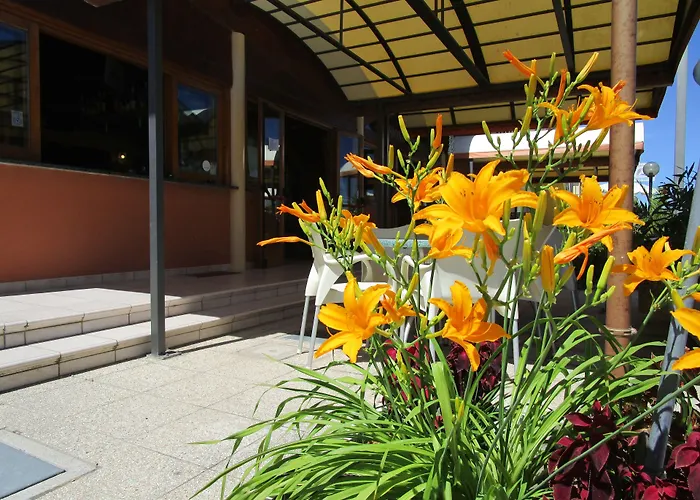 Hotels in Senigallia