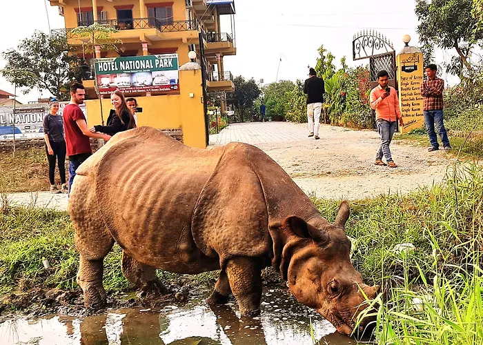 Hotel National Park Sauraha- Homely Stay And Peaceful Location With Jungle Safari Arrangements