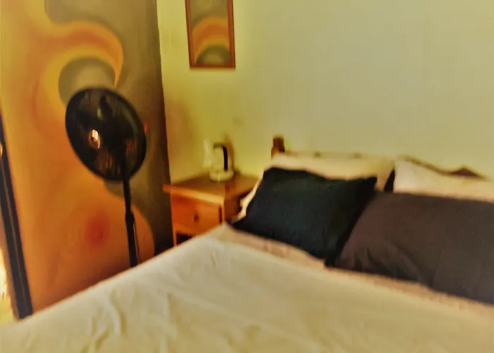 The Funky Dodo Backpackers Hostel