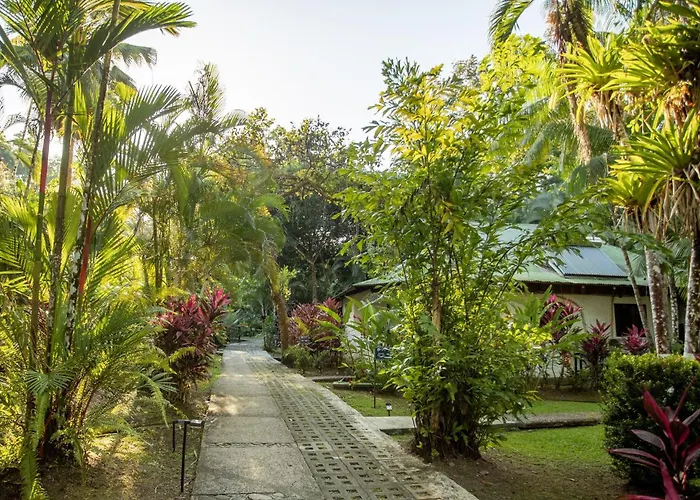 Hotels in Dominical