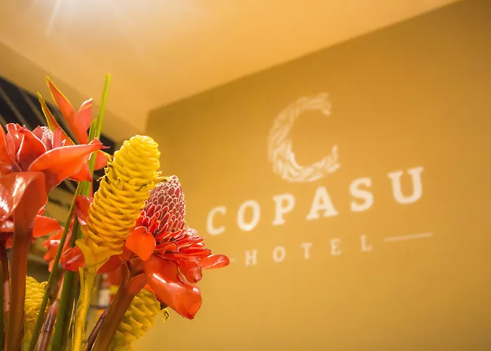 Copasu Hotel