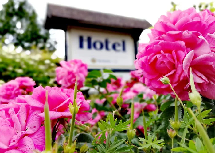 Hotel&Gasthaus Zum Domkreuger