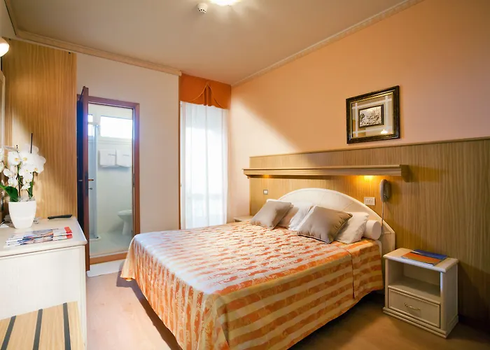 Hotel Mayer