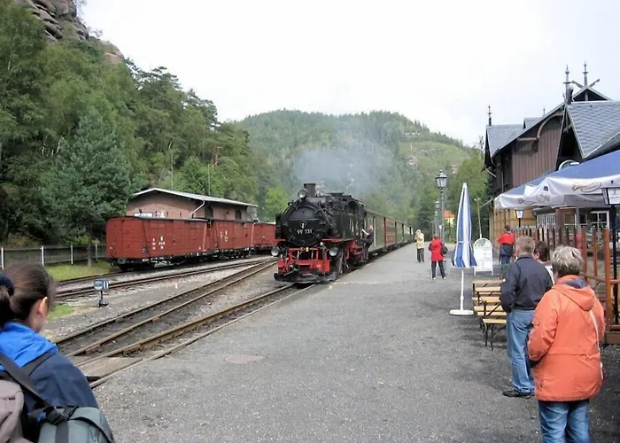 Hotel Schwarzer Bär