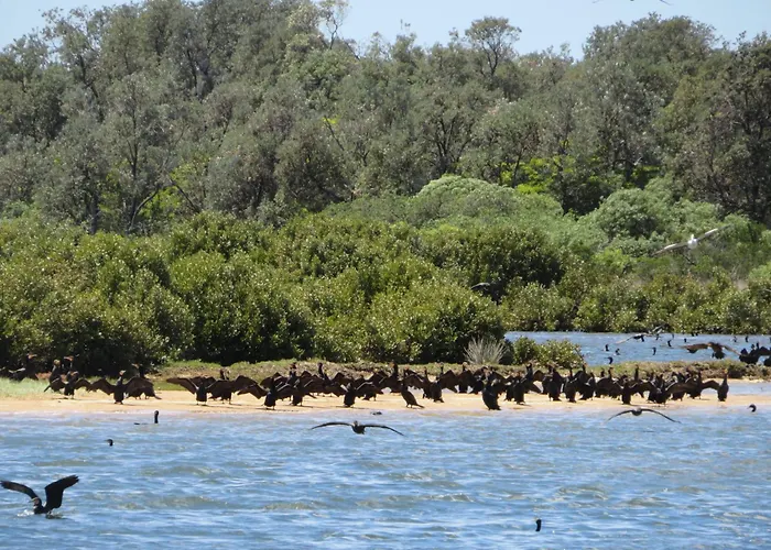 Lakes Entrance Waterfront Cottages With King Beds