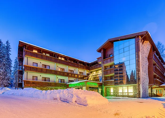 Aplend Wellness Hotel Borovica