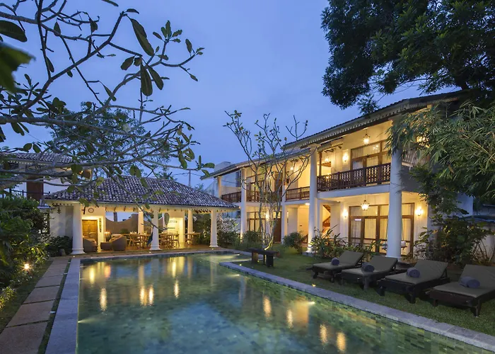 Bilin Tree House