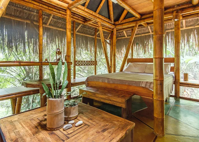 Universo Pol Bamboo Hostel